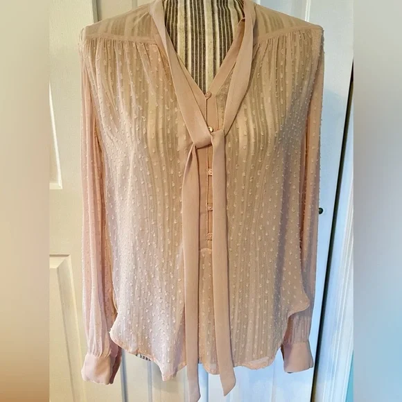 NWT KIMCHI BLUE for Urban Outfitters sheer Swiss dot top w side slits blush/pink - Picture 2 of 8